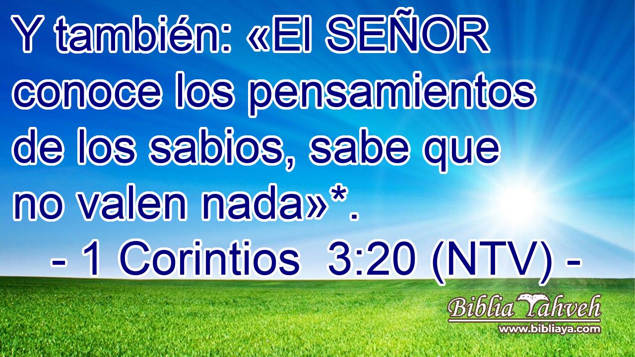 Y también: «El SEÑOR conoce los pensamientos de los sabios, sabe que no valen nada»*.