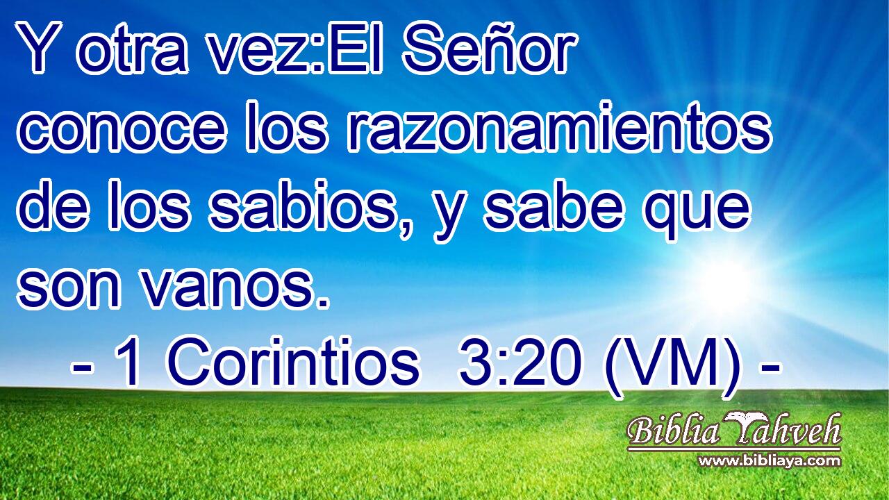  Y otra vez:El Señor conoce los razonamientos de los sabios, y sabe que son vanos. 