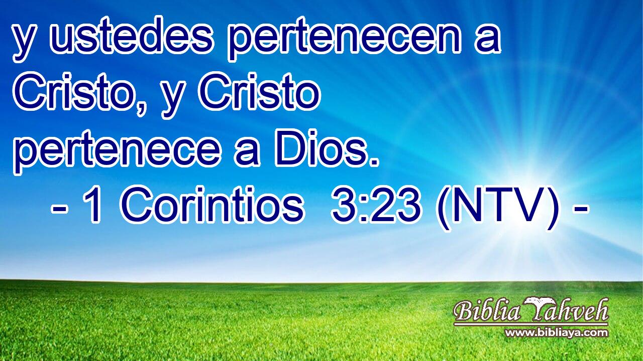 y ustedes pertenecen a Cristo, y Cristo pertenece a Dios.