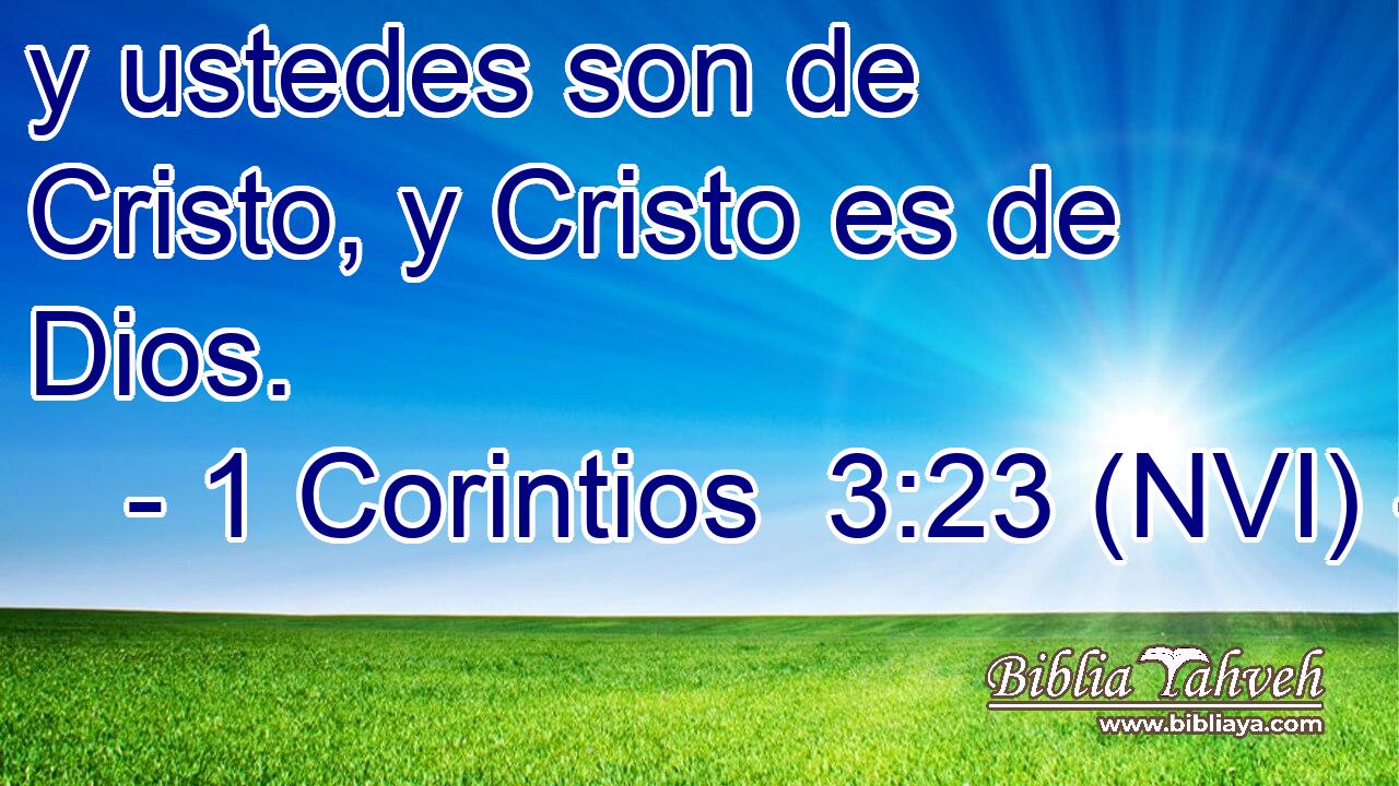  y ustedes son de Cristo, y Cristo es de Dios. 