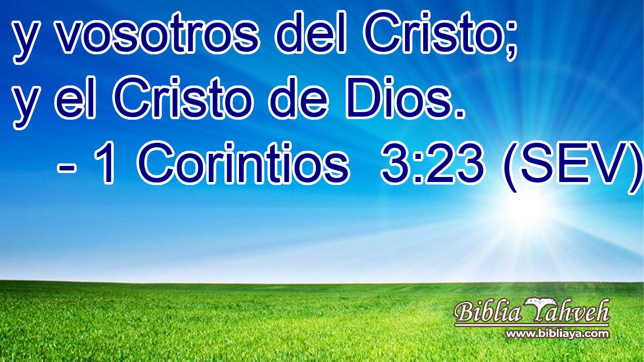 y vosotros del Cristo; y el Cristo de Dios.