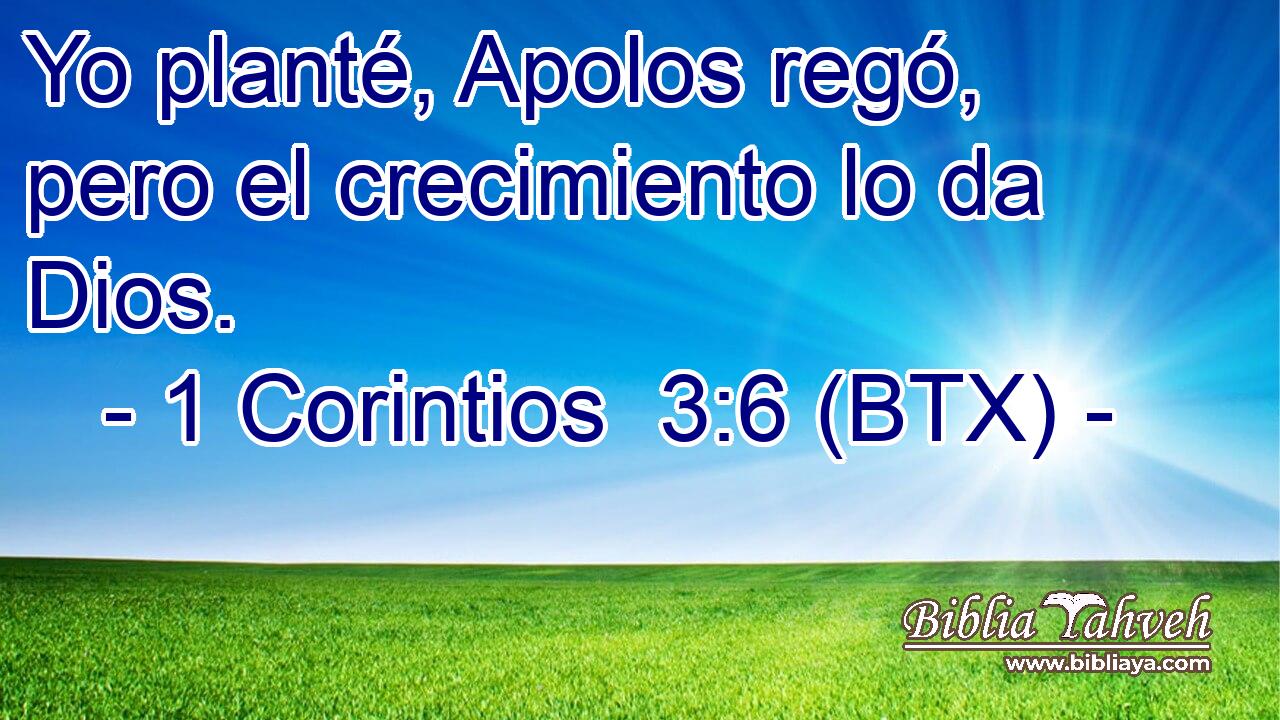 Yo planté, Apolos regó, pero el crecimiento lo da Dios.