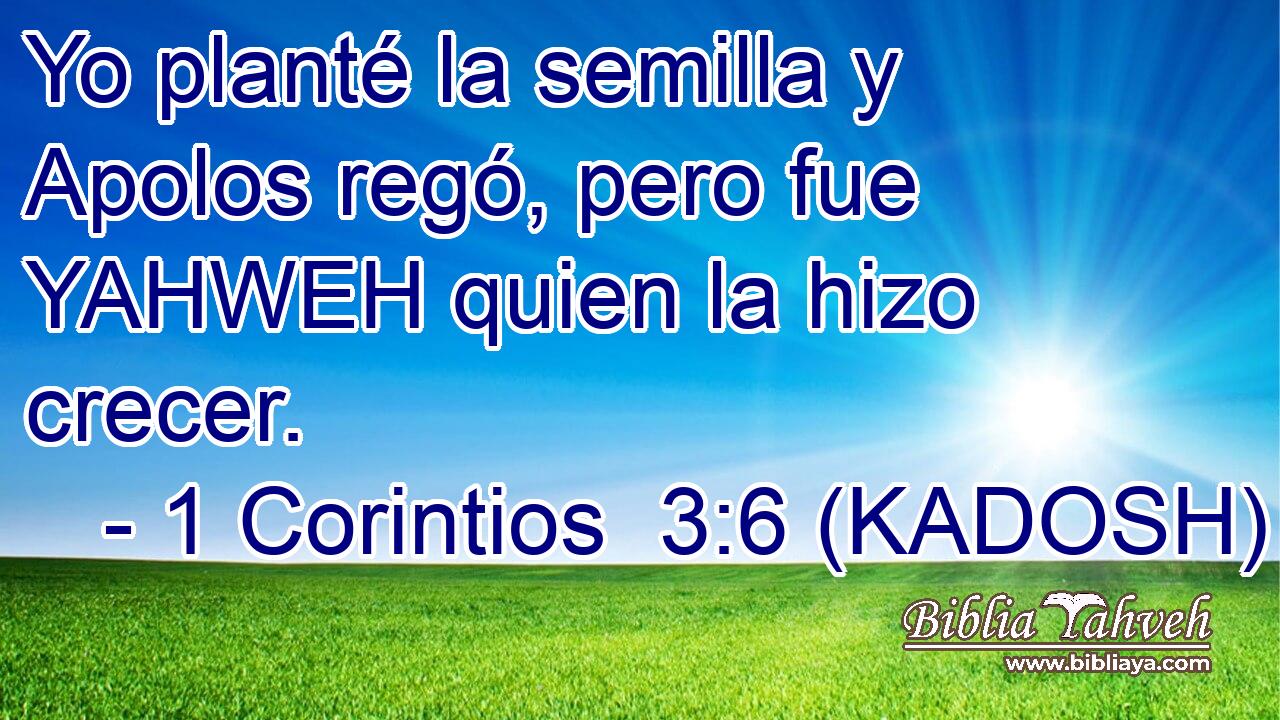  Yo planté la semilla y Apolos regó, pero fue YAHWEH quien la hizo crecer. 