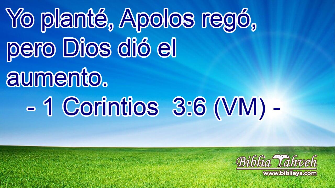  Yo planté, Apolos regó, pero Dios dió el aumento. 