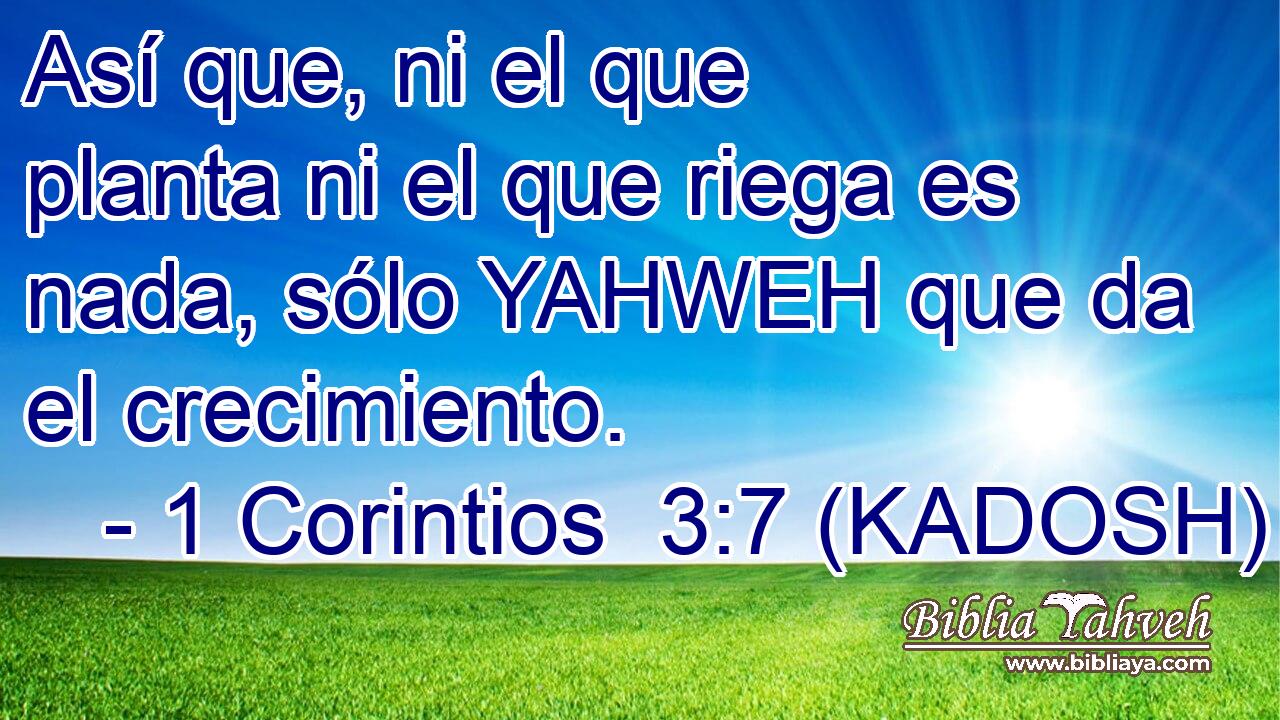  Así que, ni el que planta ni el que riega es nada, sólo YAHWEH que da el crecimiento. 