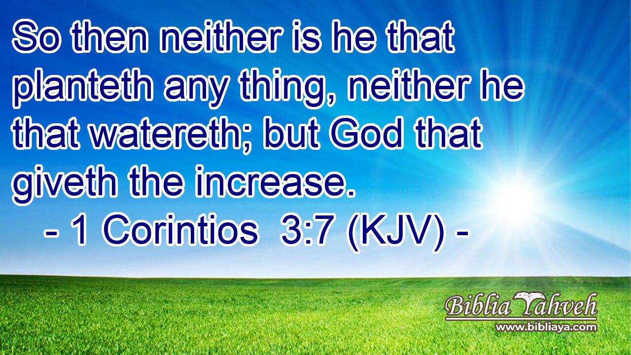 So then neither is he that planteth any thing, neither he that watereth; but God that giveth the increase.
