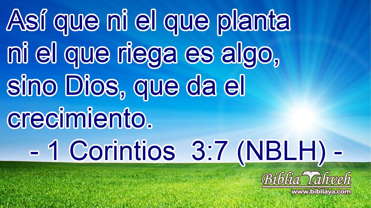  Así que ni el que planta ni el que riega es algo, sino Dios, que da el crecimiento. 