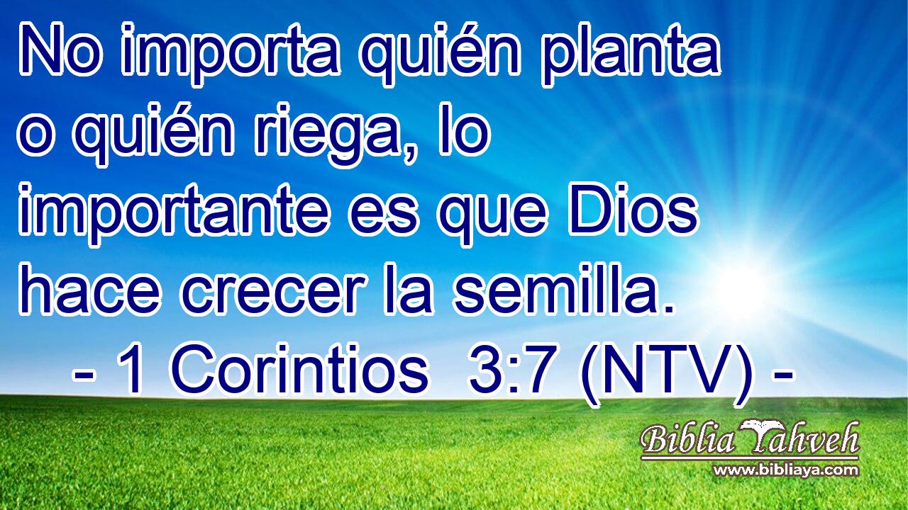No importa quién planta o quién riega, lo importante es que Dios hace crecer la semilla.