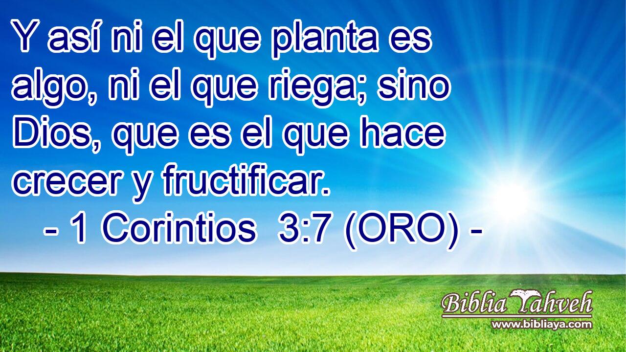  Y así ni el que planta es algo, ni el que riega; sino Dios, que es el que hace crecer y fructificar. 