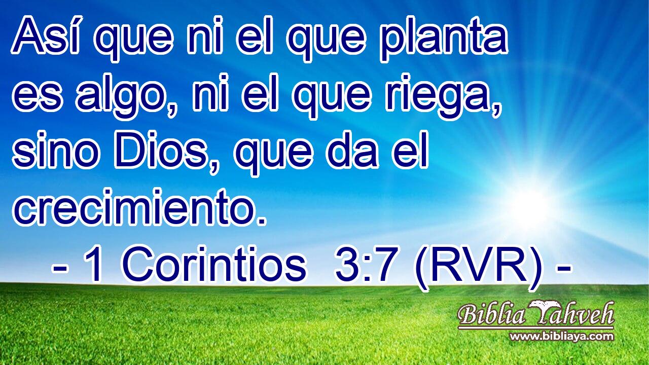 Así que ni el que planta es algo, ni el que riega, sino Dios, que da el crecimiento.