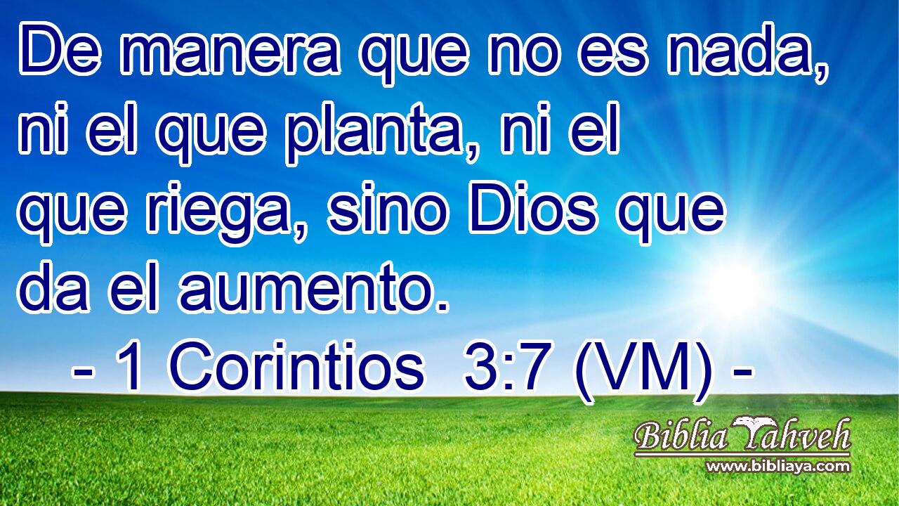  De manera que no es nada, ni el que planta, ni el que riega, sino Dios que da el aumento. 