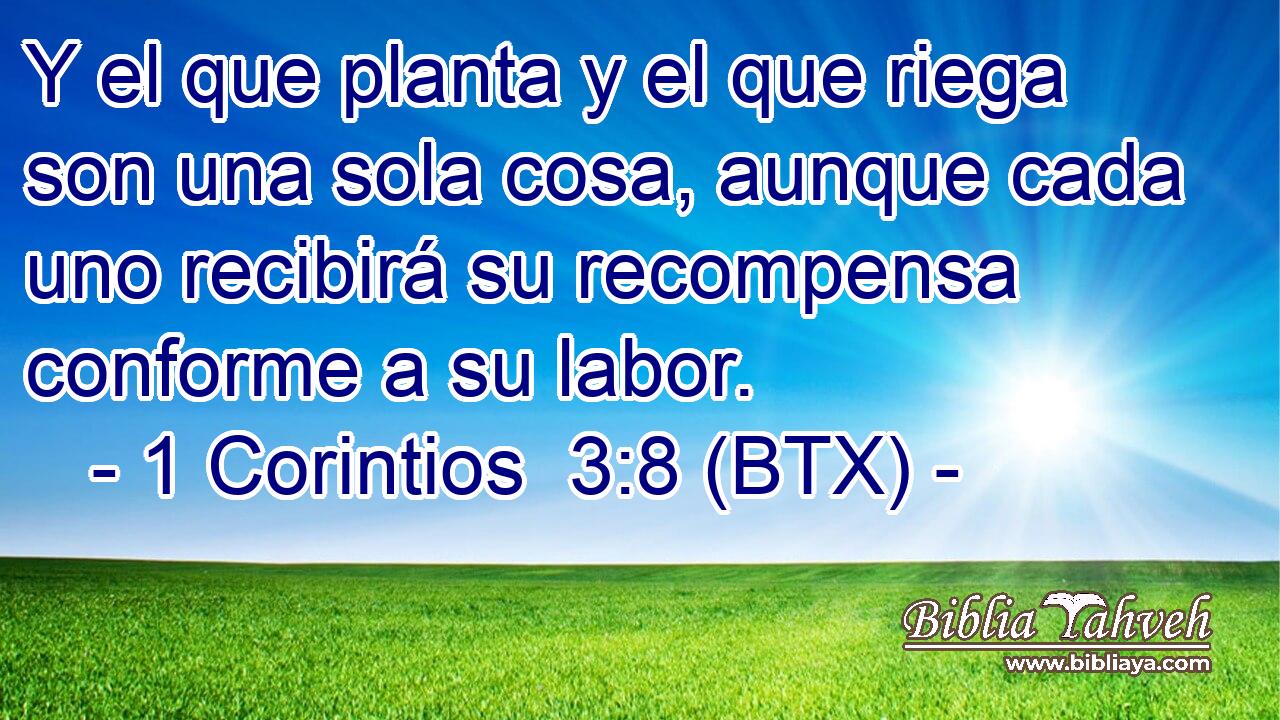 Y el que planta y el que riega son una sola cosa, aunque cada uno recibirá su recompensa conforme a su labor.