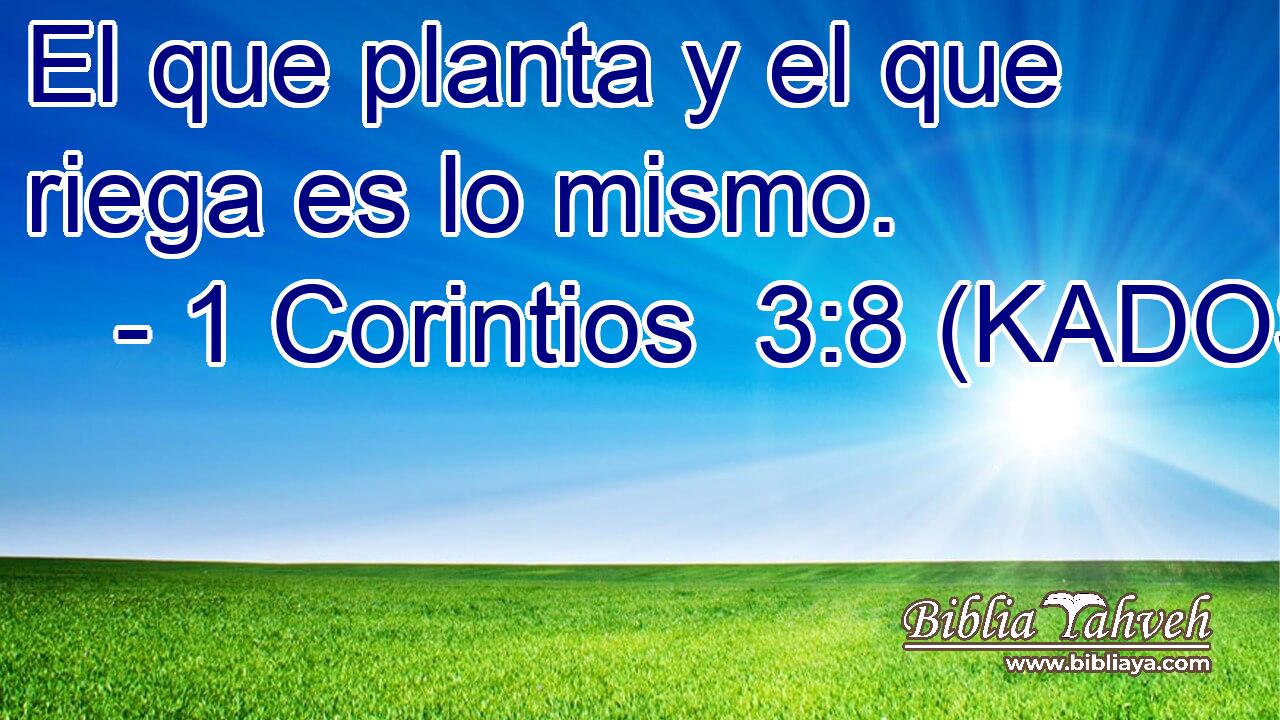  El que planta y el que riega es lo mismo. 
