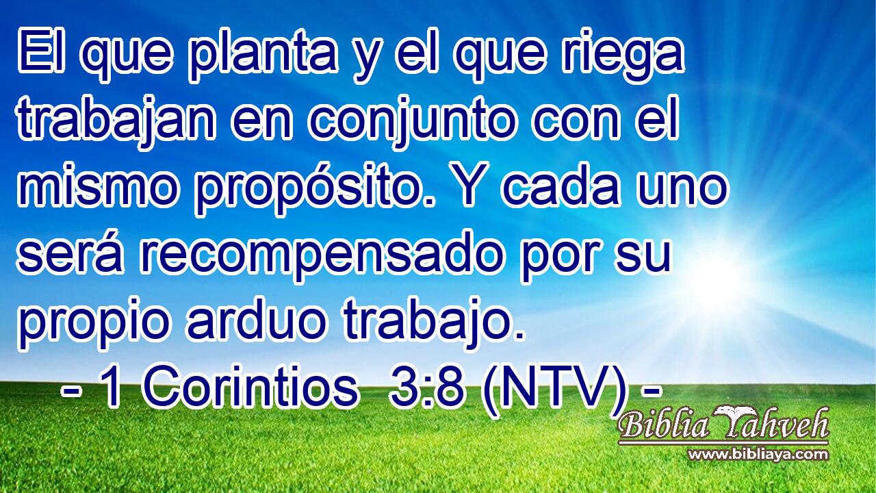 El que planta y el que riega trabajan en conjunto con el mismo propósito. Y cada uno será recompensado por su propio arduo trabajo.