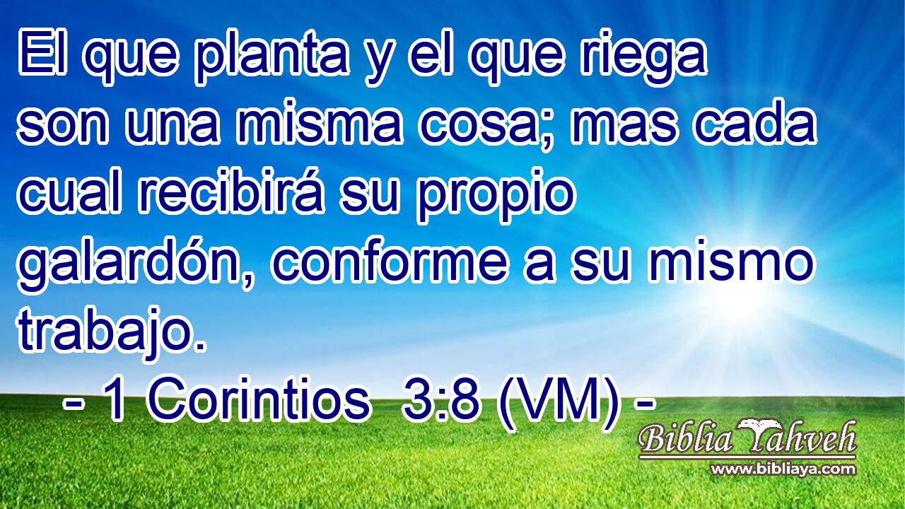  El que planta y el que riega son una misma cosa; mas cada cual recibirá su propio galardón, conforme a su mismo trabajo. 