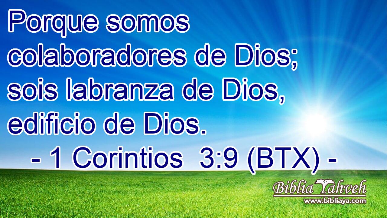Porque somos colaboradores de Dios; sois labranza de Dios, edificio de Dios.