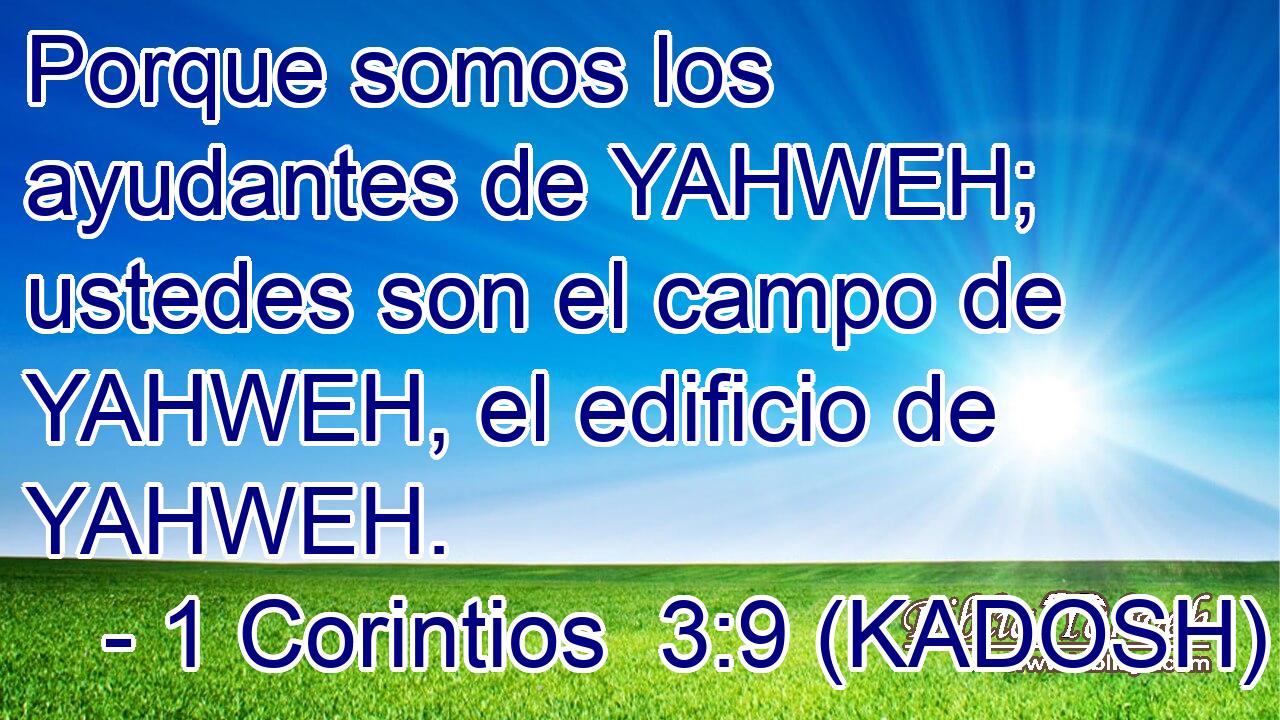  Porque somos los ayudantes de YAHWEH; ustedes son el campo de YAHWEH, el edificio de YAHWEH. 