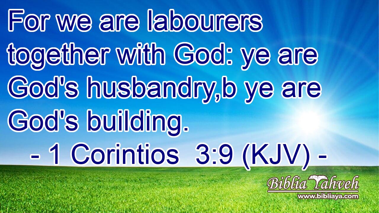 For we are labourers together with God: ye are God's husbandry,b ye are God's building.
