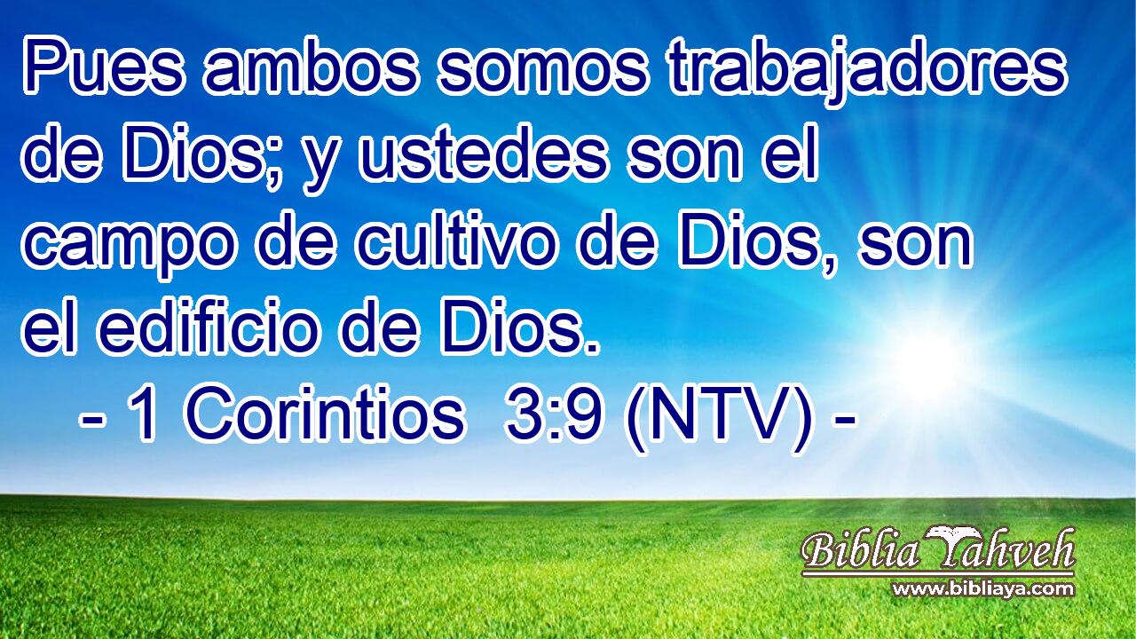 Pues ambos somos trabajadores de Dios; y ustedes son el campo de cultivo de Dios, son el edificio de Dios.