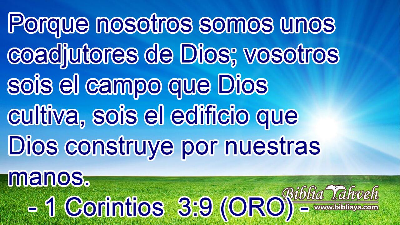  Porque nosotros somos unos coadjutores de Dios; vosotros sois el campo que Dios cultiva, sois el edificio que Dios construye por nuestras manos. 