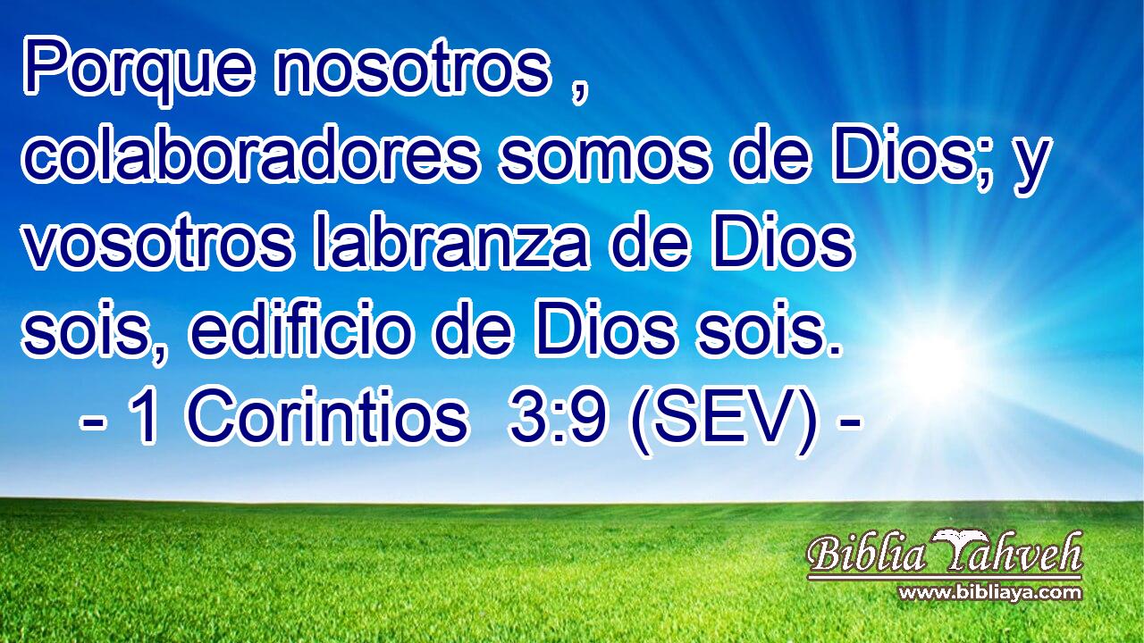 Porque nosotros , colaboradores somos de Dios; y vosotros labranza de Dios sois, edificio de Dios sois.