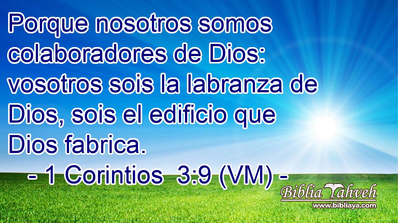  Porque nosotros somos colaboradores de Dios: vosotros sois la labranza de Dios, sois el edificio que Dios fabrica. 