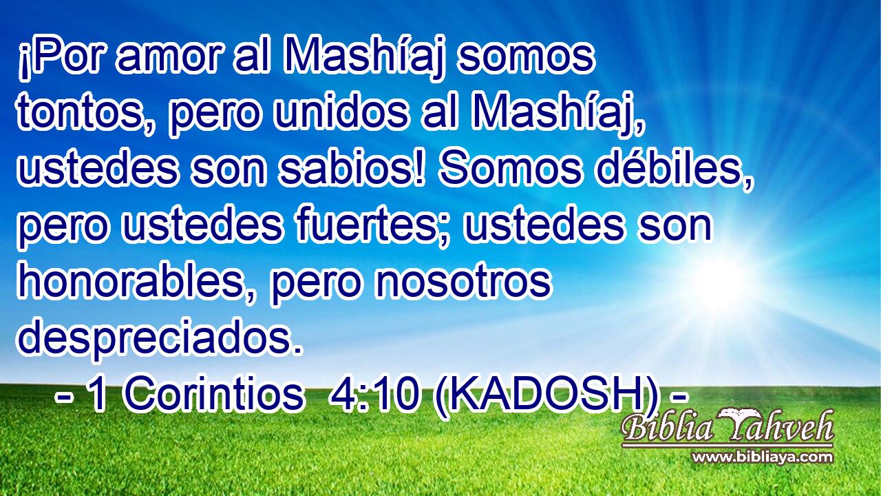  ¡Por amor al Mashíaj somos tontos, pero unidos al Mashíaj, ustedes son sabios! Somos débiles, pero ustedes fuertes; ustedes son honorables, pero nosotros despreciados. 