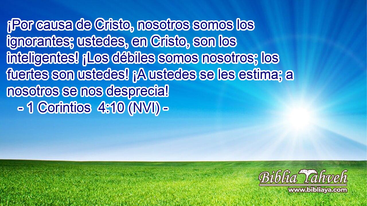  ¡Por causa de Cristo, nosotros somos los ignorantes; ustedes, en Cristo, son los inteligentes! ¡Los débiles somos nosotros; los fuertes son ustedes! ¡A ustedes se les estima; a nosotros se nos desprecia! 