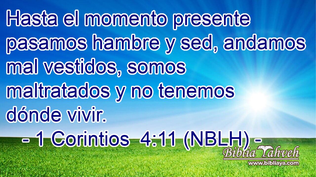  Hasta el momento presente pasamos hambre y sed, andamos mal vestidos, somos maltratados y no tenemos dónde vivir. 