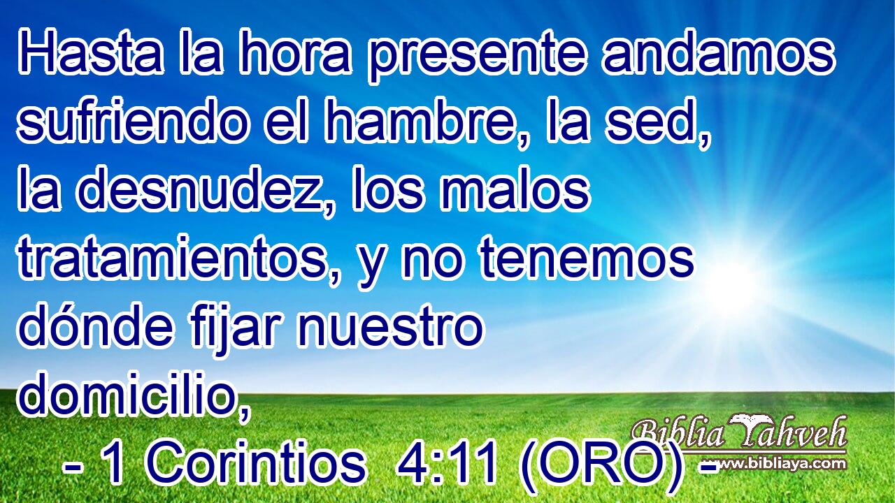  Hasta la hora presente andamos sufriendo el hambre, la sed, la desnudez, los malos tratamientos, y no tenemos dónde fijar nuestro domicilio, 