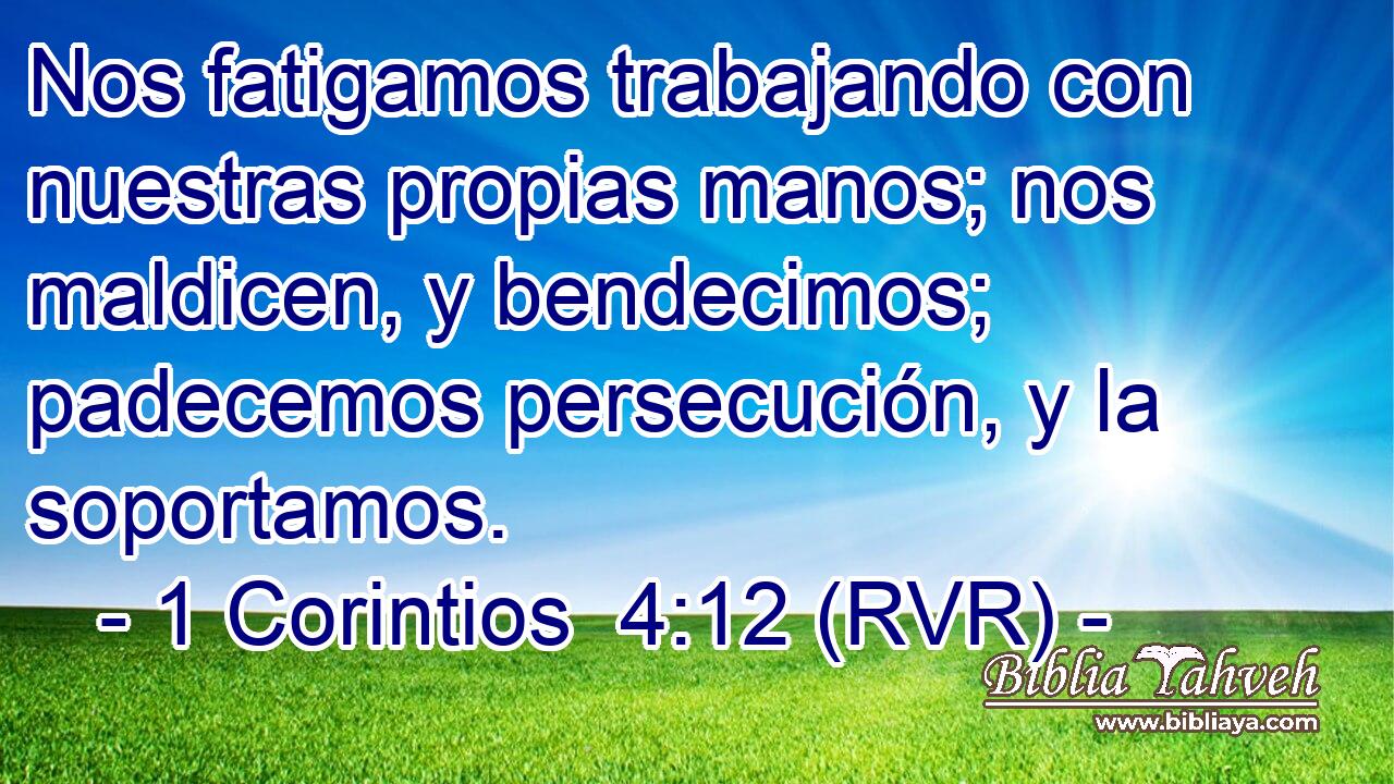 Nos fatigamos trabajando con nuestras propias manos; nos maldicen, y bendecimos; padecemos persecución, y la soportamos.