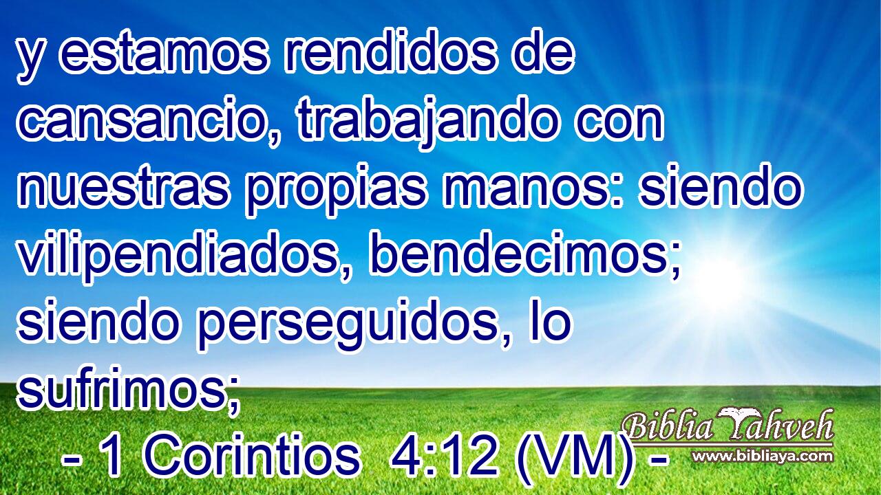  y estamos rendidos de cansancio, trabajando con nuestras propias manos: siendo vilipendiados, bendecimos; siendo perseguidos, lo sufrimos; 