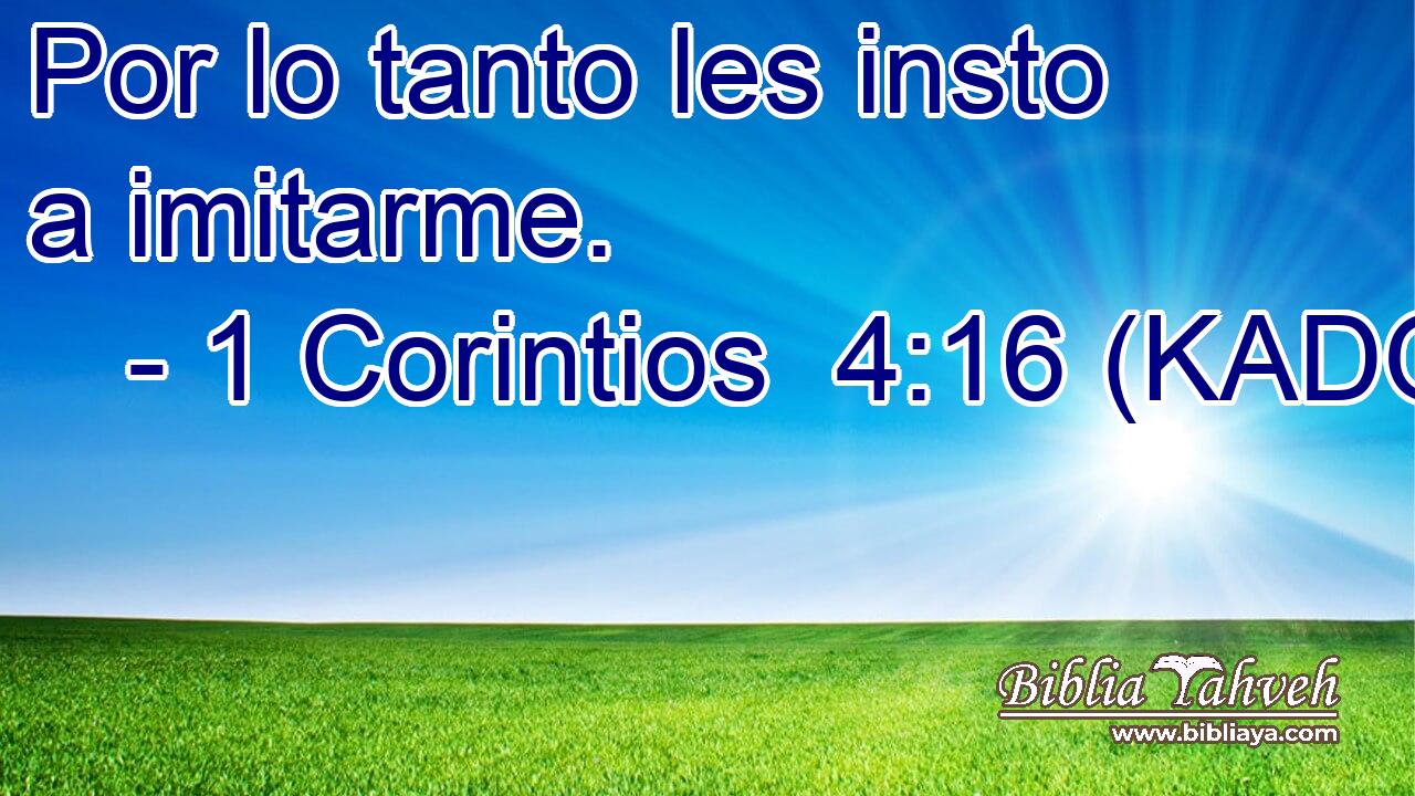  Por lo tanto les insto a imitarme. 