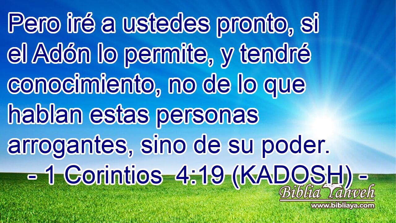  Pero iré a ustedes pronto, si el Adón lo permite, y tendré conocimiento, no de lo que hablan estas personas arrogantes, sino de su poder. 