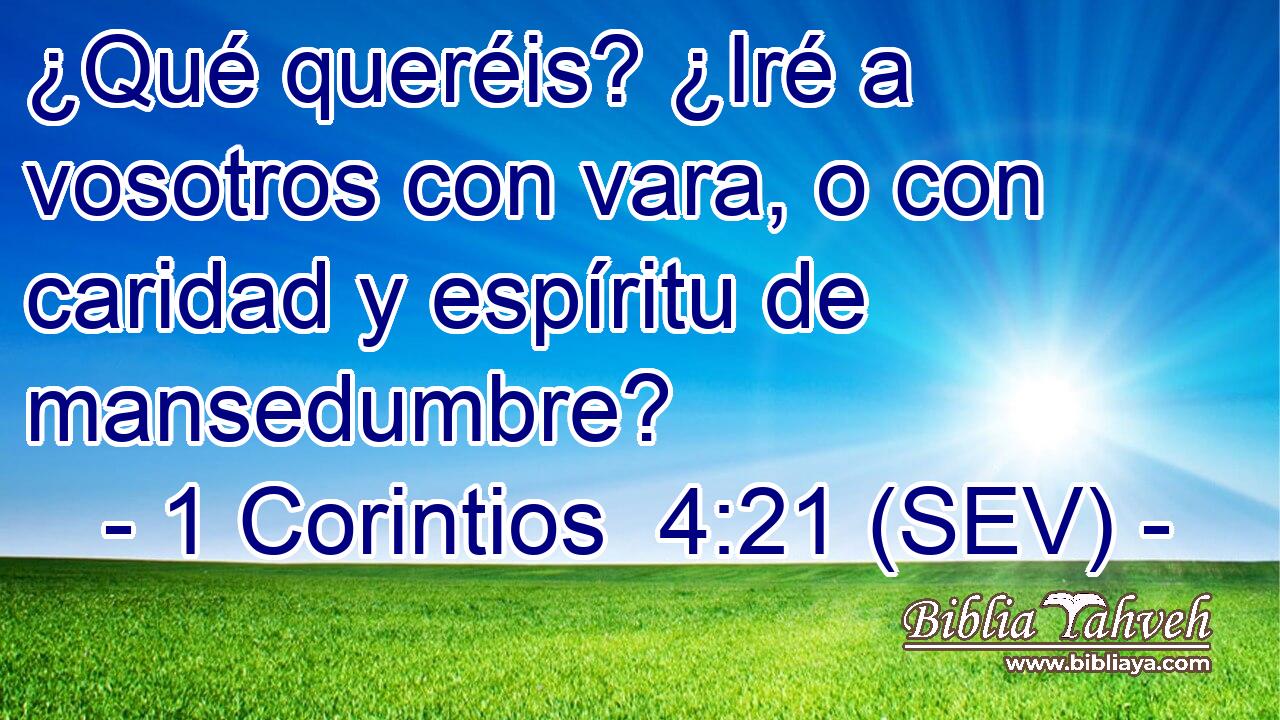 ¿Qué queréis? ¿Iré a vosotros con vara, o con caridad y espíritu de mansedumbre?