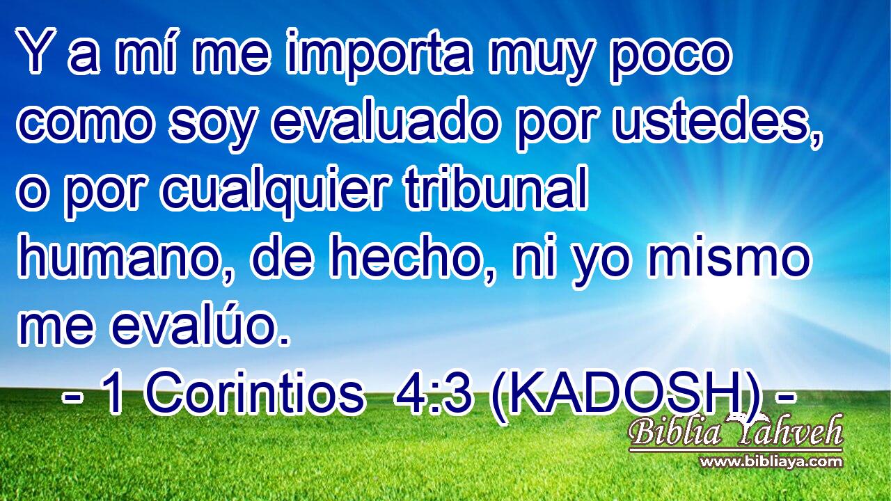  Y a mí me importa muy poco como soy evaluado por ustedes, o por cualquier tribunal humano, de hecho, ni yo mismo me evalúo. 