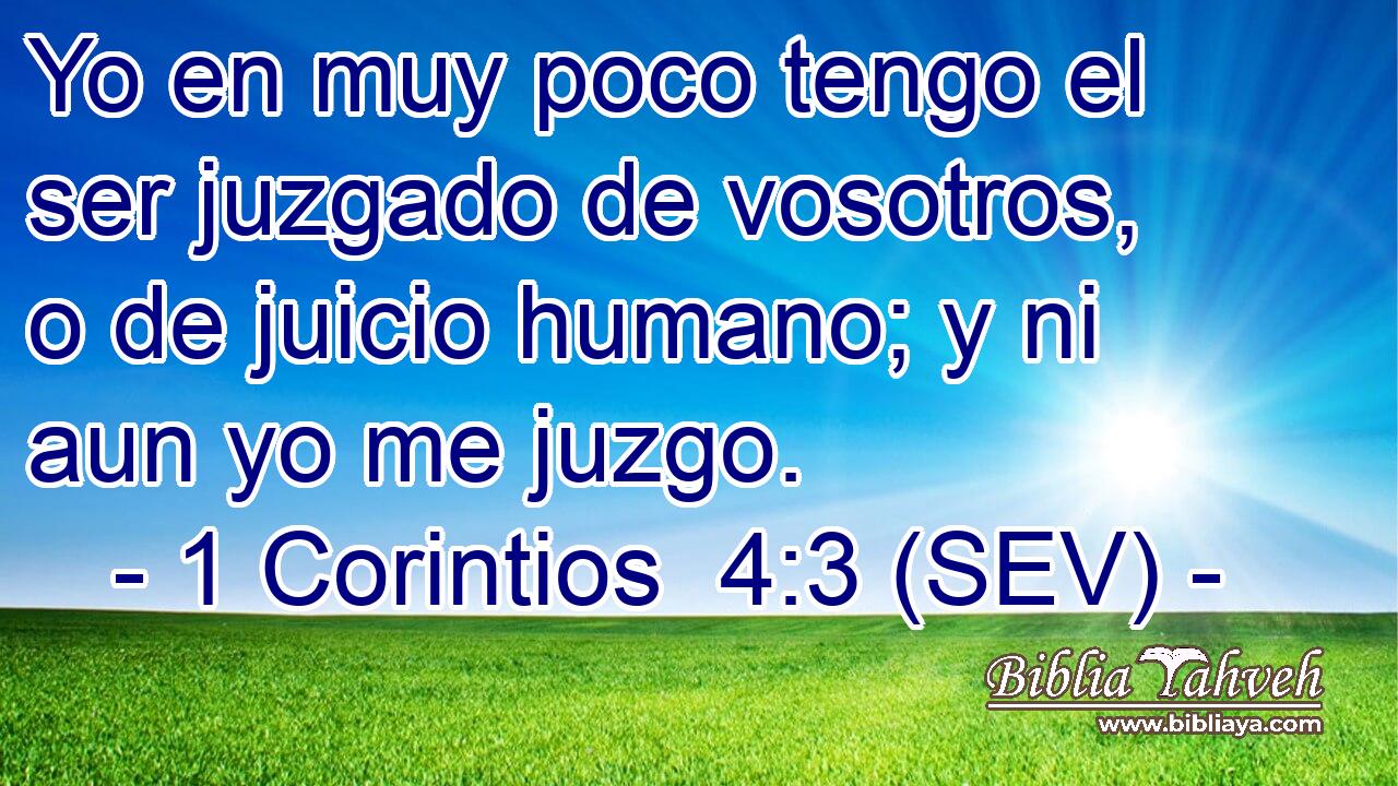 Yo en muy poco tengo el ser juzgado de vosotros, o de juicio humano; y ni aun yo me juzgo.