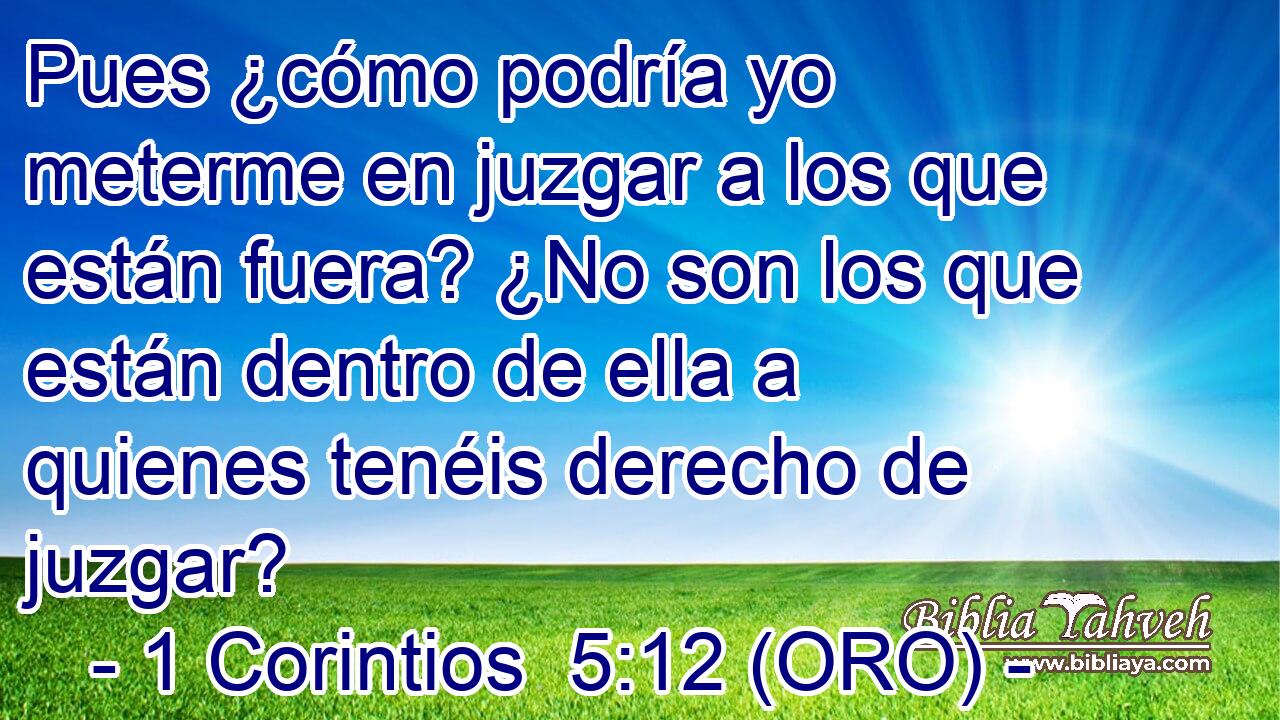  Pues ¿cómo podría yo meterme en juzgar a los que están fuera? ¿No son los que están dentro de ella a quienes tenéis derecho de juzgar? 