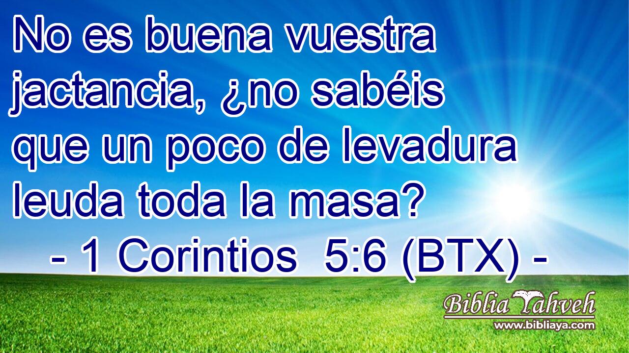 No es buena vuestra jactancia, ¿no sabéis que un poco de levadura leuda toda la masa?