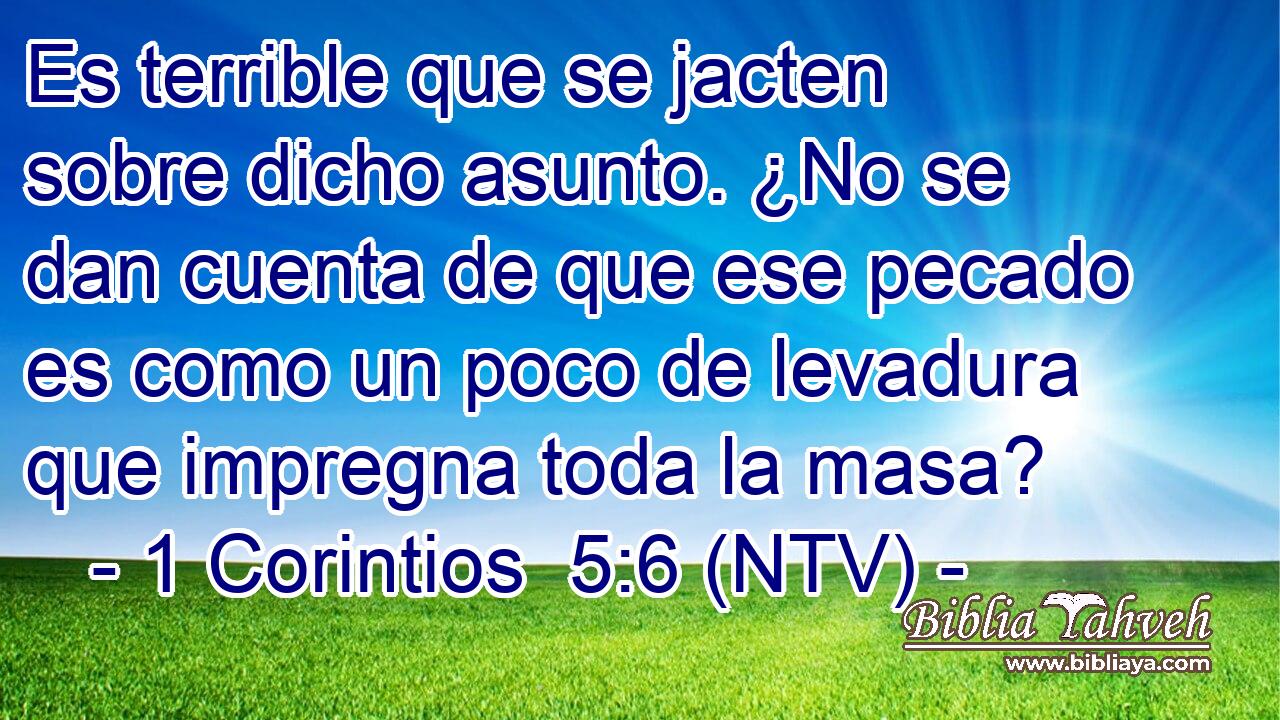Es terrible que se jacten sobre dicho asunto. ¿No se dan cuenta de que ese pecado es como un poco de levadura que impregna toda la masa?