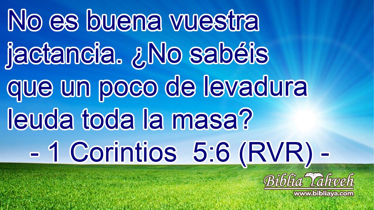 No es buena vuestra jactancia. ¿No sabéis que un poco de levadura leuda toda la masa?