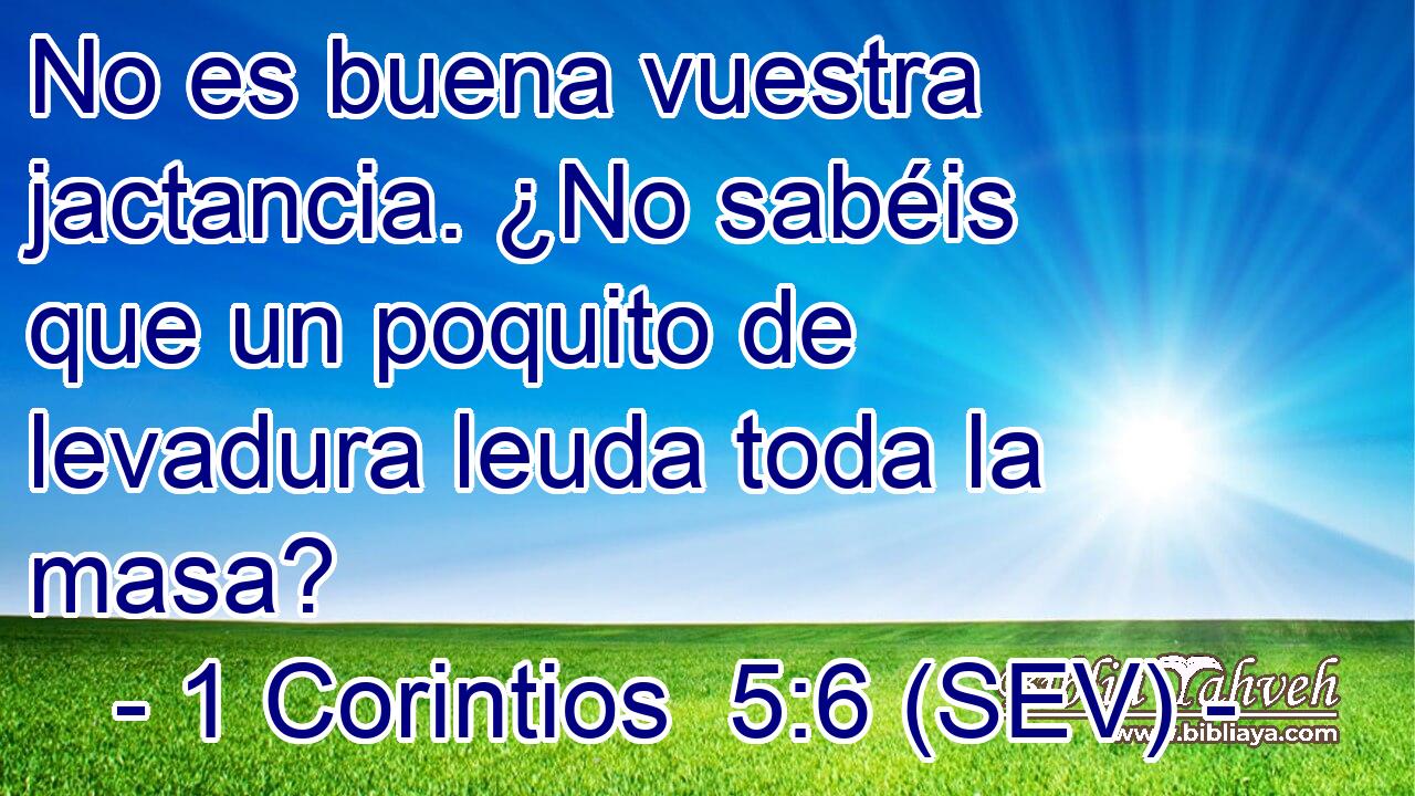 No es buena vuestra jactancia. ¿No sabéis que un poquito de levadura leuda toda la masa?