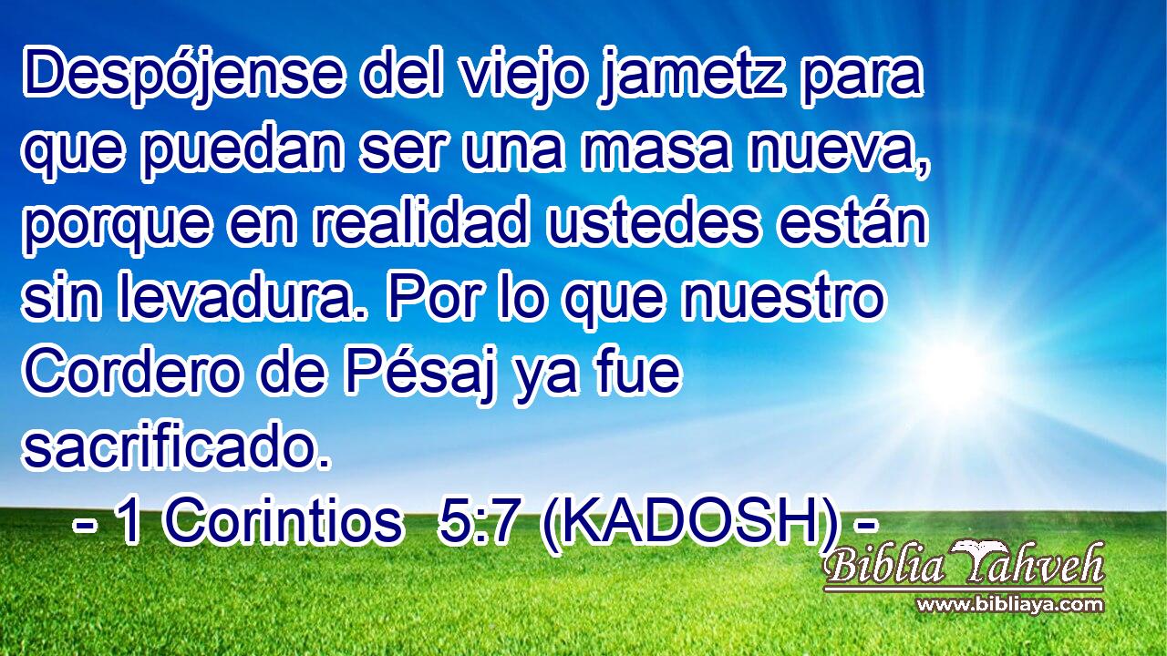 Despójense del viejo jametz para que puedan ser una masa nueva, porque en realidad ustedes están sin levadura. Por lo que nuestro Cordero de Pésaj ya fue sacrificado. 
