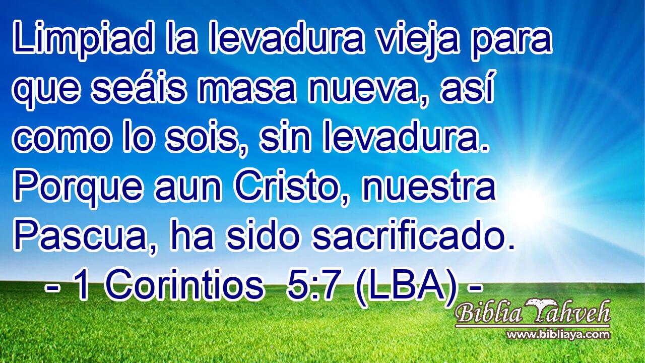 Limpiad la levadura vieja para que seáis masa nueva, así como lo sois, sin levadura. Porque aun Cristo, nuestra Pascua, ha sido sacrificado.