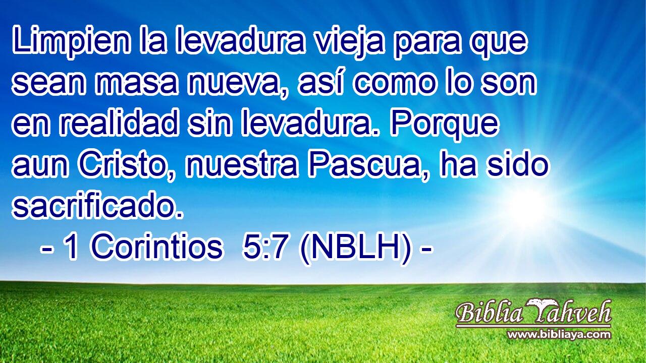  Limpien la levadura vieja para que sean masa nueva, así como lo son en realidad sin levadura. Porque aun Cristo, nuestra Pascua, ha sido sacrificado. 