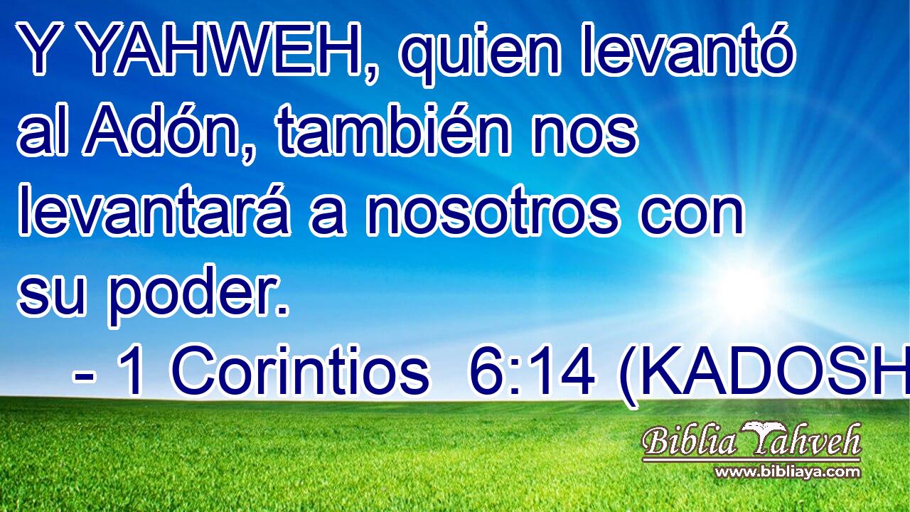  Y YAHWEH, quien levantó al Adón, también nos levantará a nosotros con su poder. 