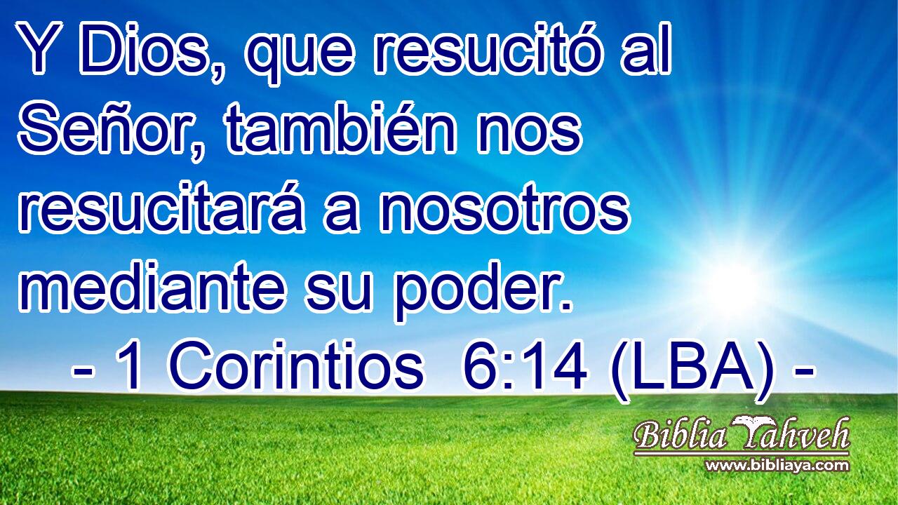 Y Dios, que resucitó al Señor, también nos resucitará a nosotros mediante su poder.
