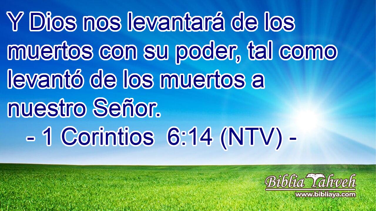 Y Dios nos levantará de los muertos con su poder, tal como levantó de los muertos a nuestro Señor.