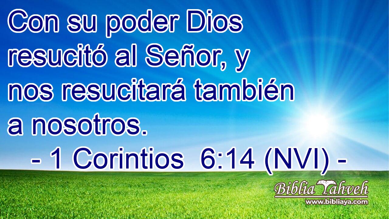  Con su poder Dios resucitó al Señor, y nos resucitará también a nosotros. 