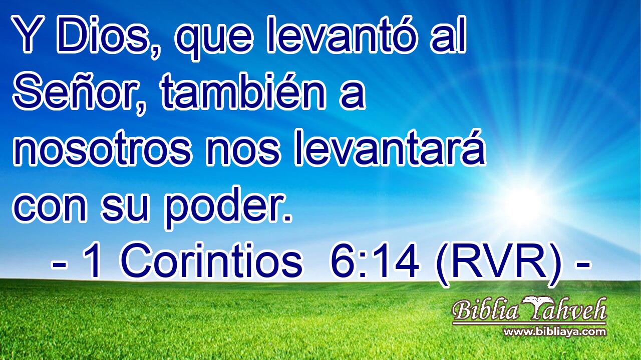 Y Dios, que levantó al Señor, también a nosotros nos levantará con su poder.